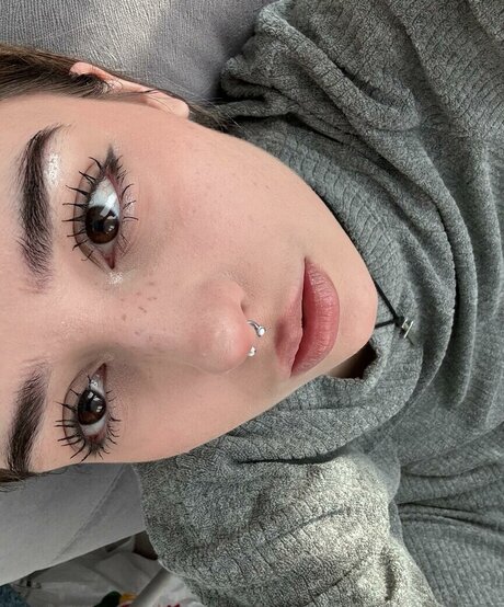 pavuk1 0 estrella bonita galerías