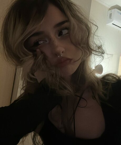 pavuk1 0 haut étoile collection