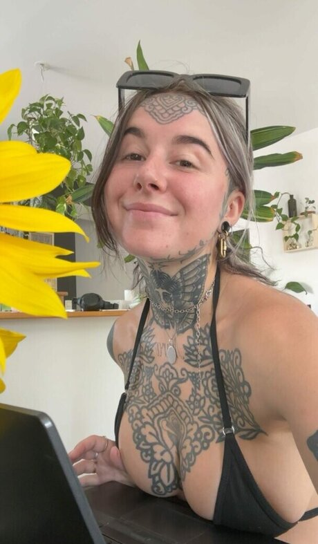 divinement bon étoile exclusive images