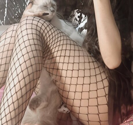 zems3lling modèle nu galerie