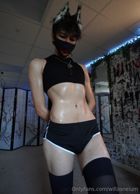 willzoneium hermosa estrella archivo