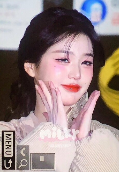 Jang Won young étoile adulte img