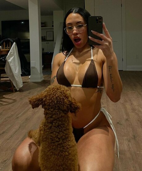 Jaidyn Felicetti pornstar top img