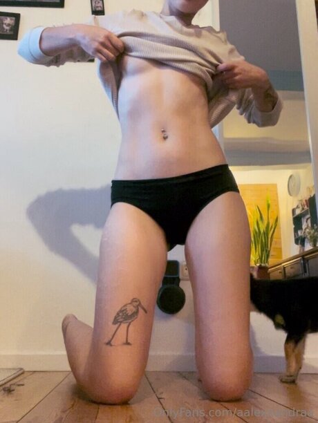 Aalexandrawbr star du porno gratuit galeries