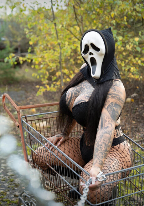 Stifflersmom star du porno chaude collection