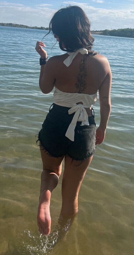 Arleigh Burke estrella hermosa imágenes