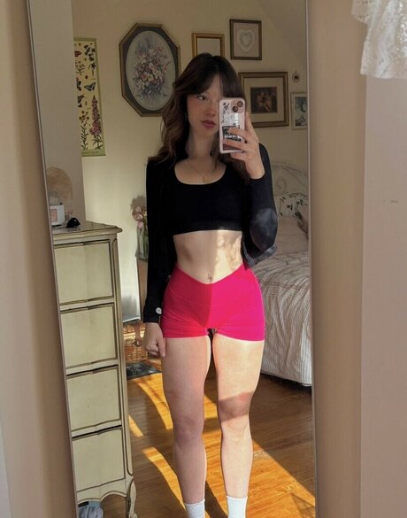 finseaa joli modèle archive