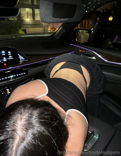 Sthu modèle sympa galeries