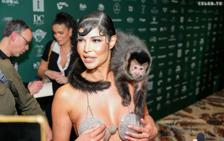 Micaela Sch fer star du porno gratuit images