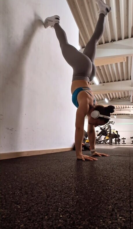 JuleTheFox étoile magnifique photos