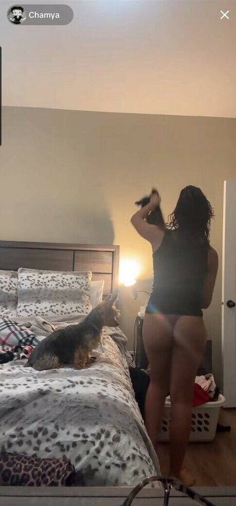 Chamya Johnson star nudes archive