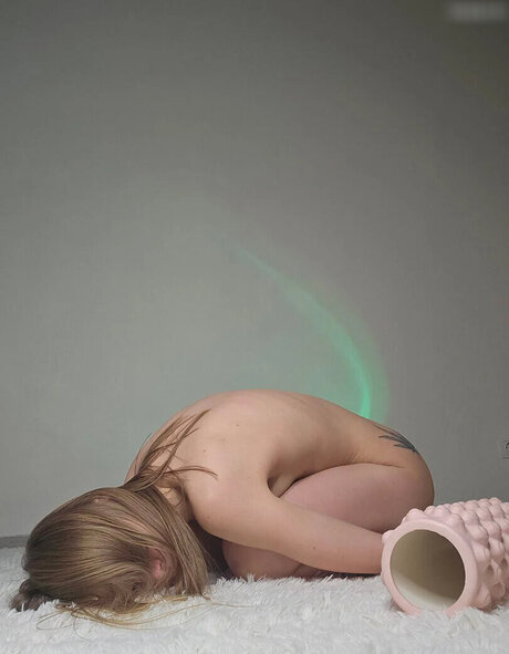 camallia candy estrella perfecta galerías