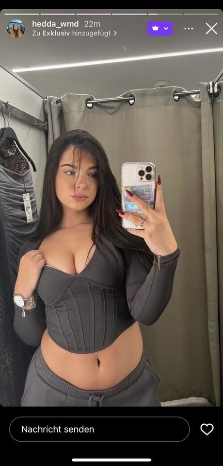 Hedda wmd arte estrella porno imágenes