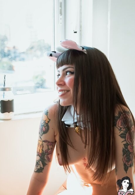 Dinhasun estrella libre foto