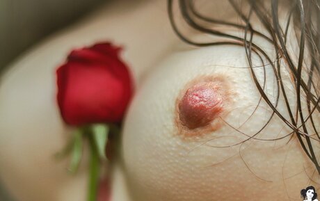 Dinhasun actriz perfecta galerías