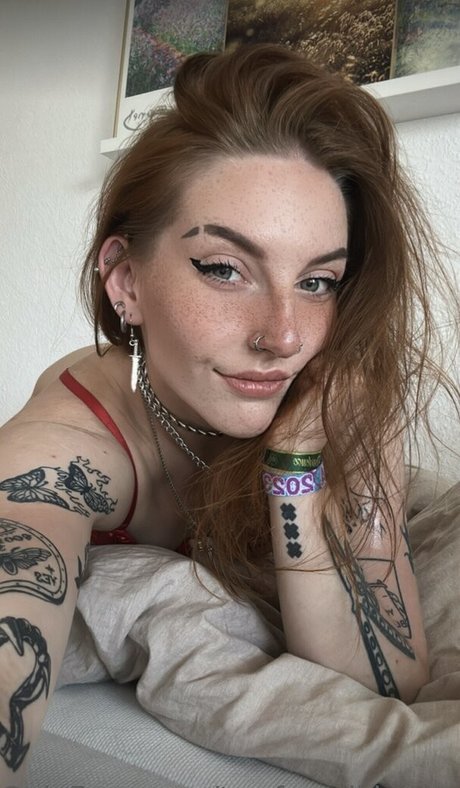 Towfacedkimmy étoile de l'art archive