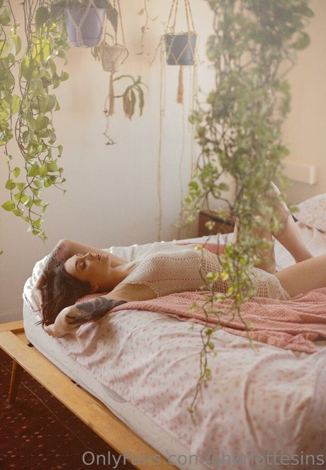 charlottesins beau modèle img