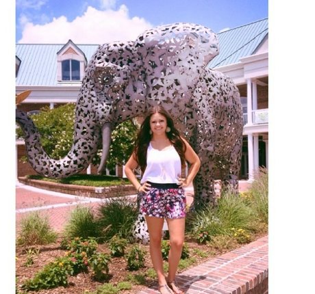 Jadore Jordan étoile de haute qualité img