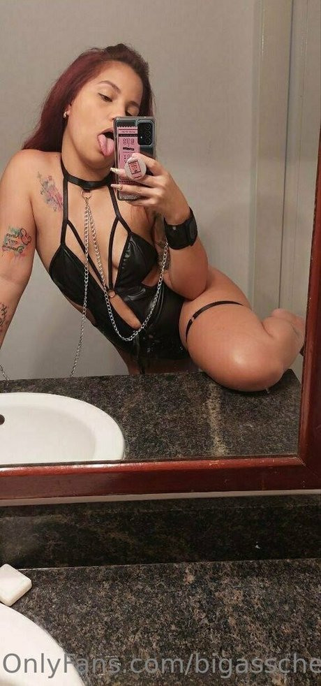 bigasschels buen modelo recopilación