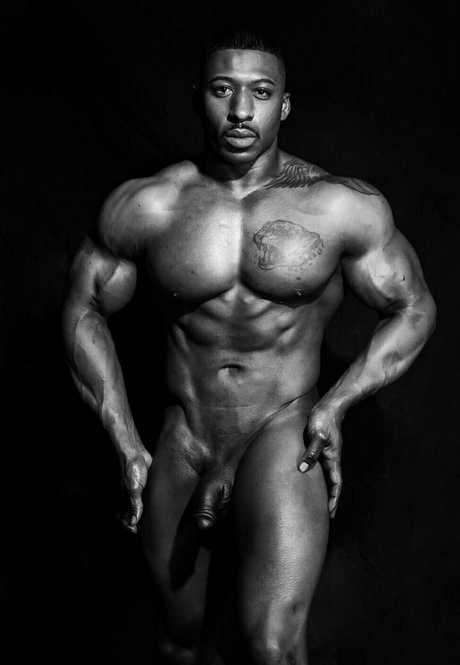 justinthemodel étoile de haute qualité galerie