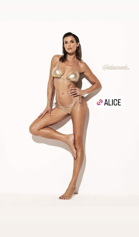 Elisabetta Canalis estrella del arte foto