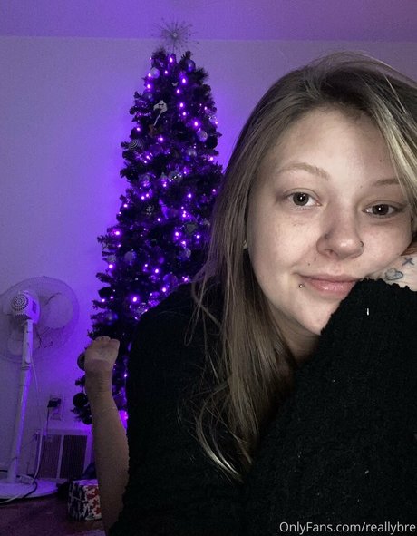 reallybre modelo superior galerías