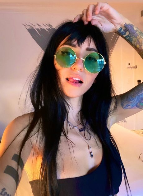 Lights Poxleitner profile image