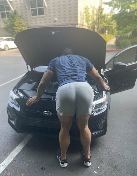 briefsbull modelo mejor imágenes