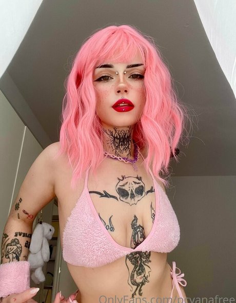 elfsandi modèle galerie