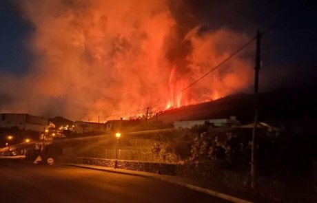 nashyra estrella adulta foto