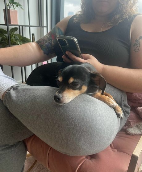 Suki Jade estrella porno gratis galerías