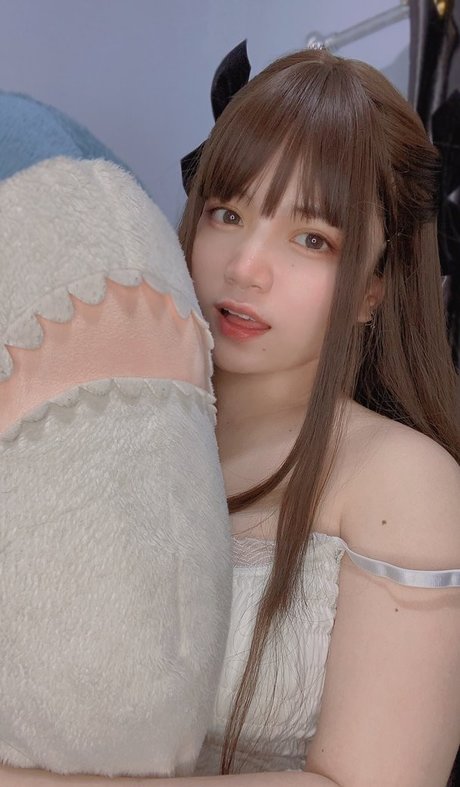 Angel Chan modelo recopilación