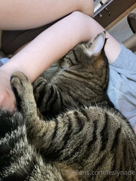 For you Lesly_ belle étoile img