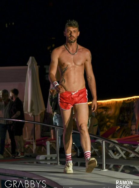 king tylor jolie étoile galeries