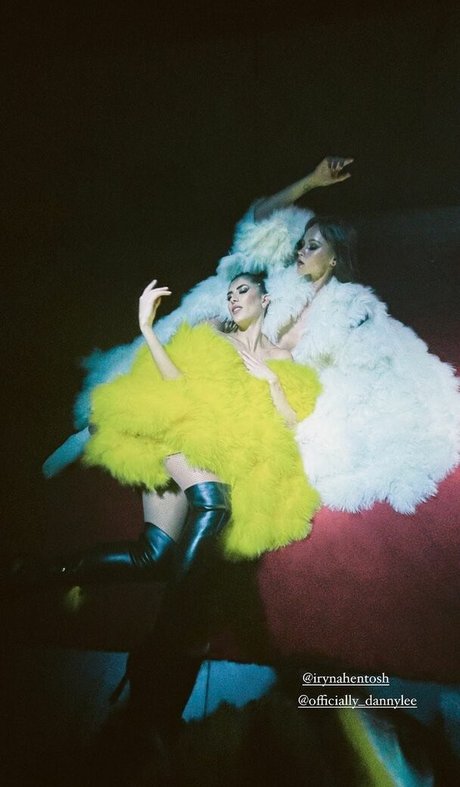 Gina Llebaria estrella galería