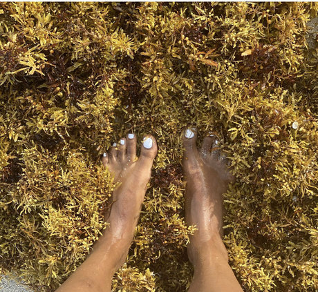 kysersaiso étoile érotique img