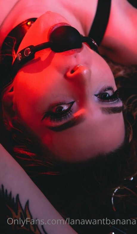 femboy lane jolie étoile archive