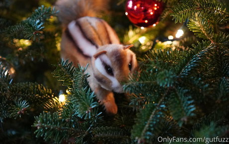 gutfuzz modelo bonita recopilación