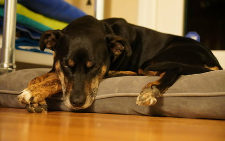 gutfuzz actrice de nus galerie