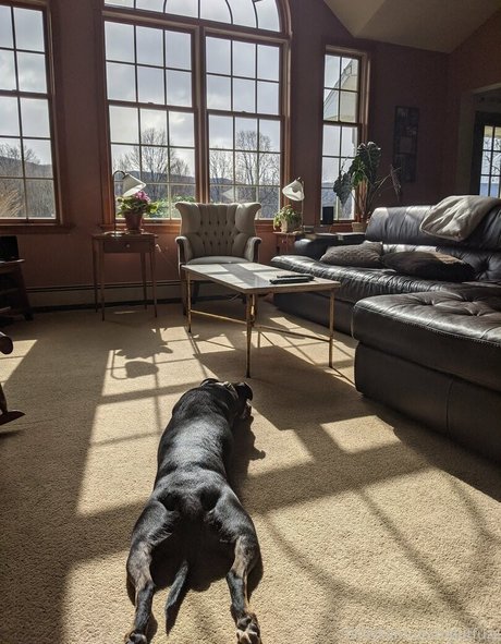 gutfuzz sexe star du porno des photos