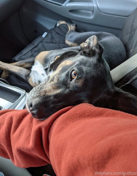 gutfuzz actriz sexual fotos