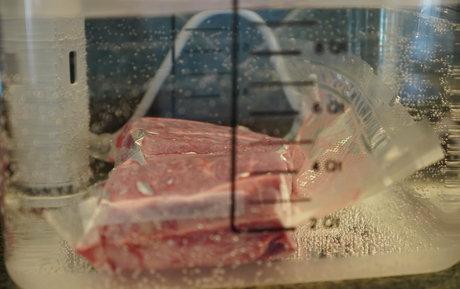 gutfuzz modelo gratis galerías