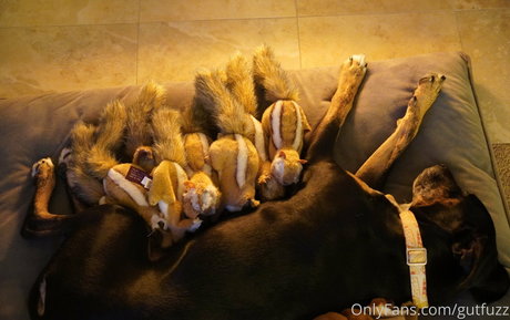 gutfuzz actriz de desnudos imagen