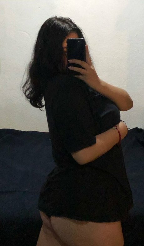 sar eliii modèle gratuit archive