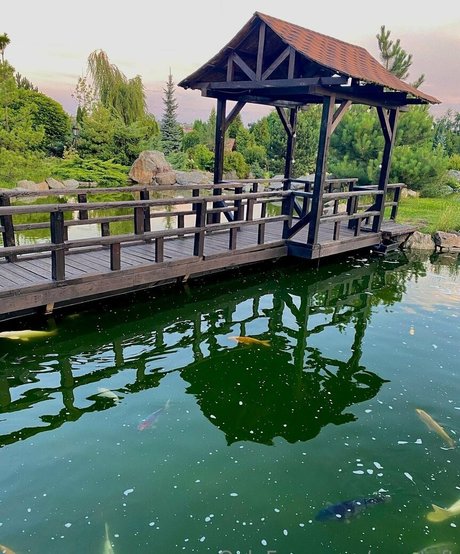 eva taft modèle hd galeries