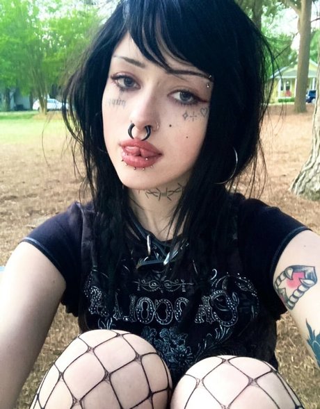 Lostwetdog estrella agradable fotos