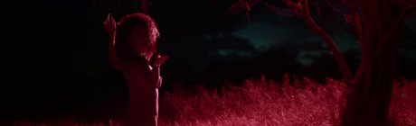 clitauro estrella bonita imagen