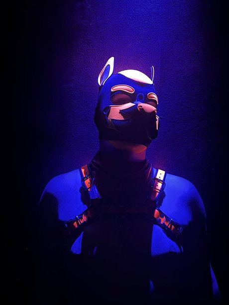 Quentin the pup model archive