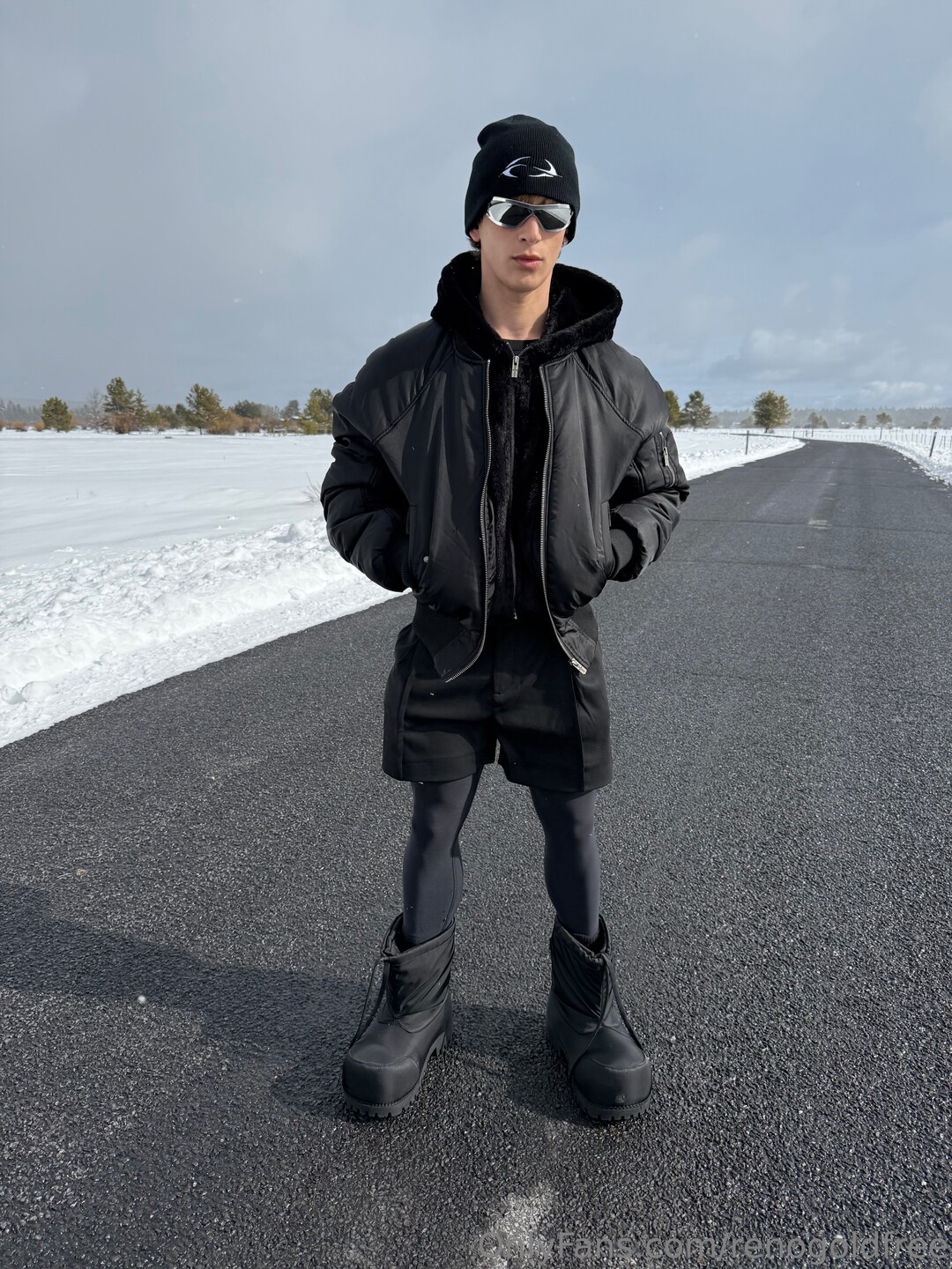 renogoldfree star high quality pic