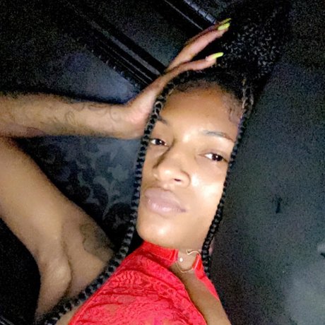 Sylly model top image